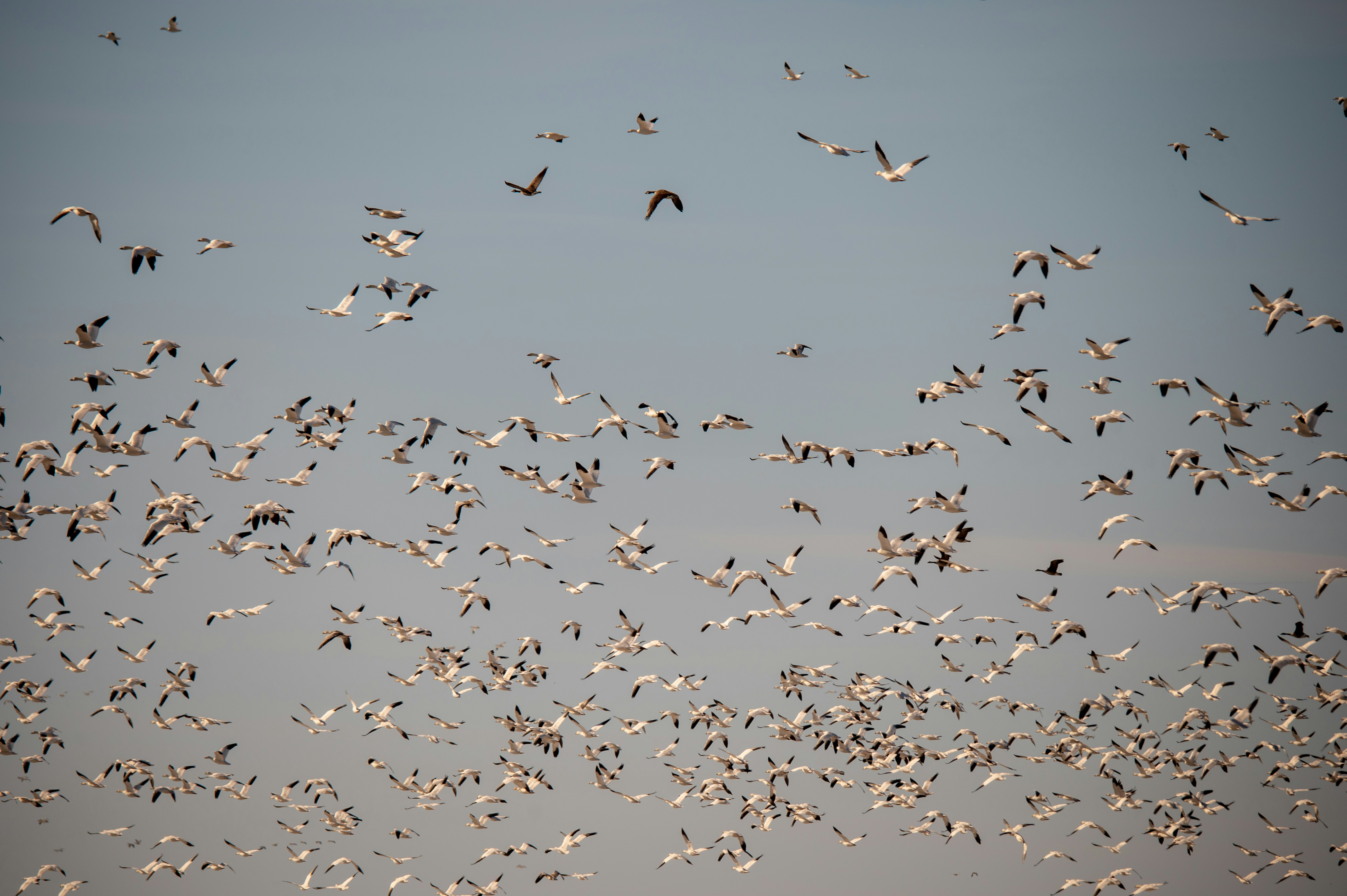 Photo by add_rien_20