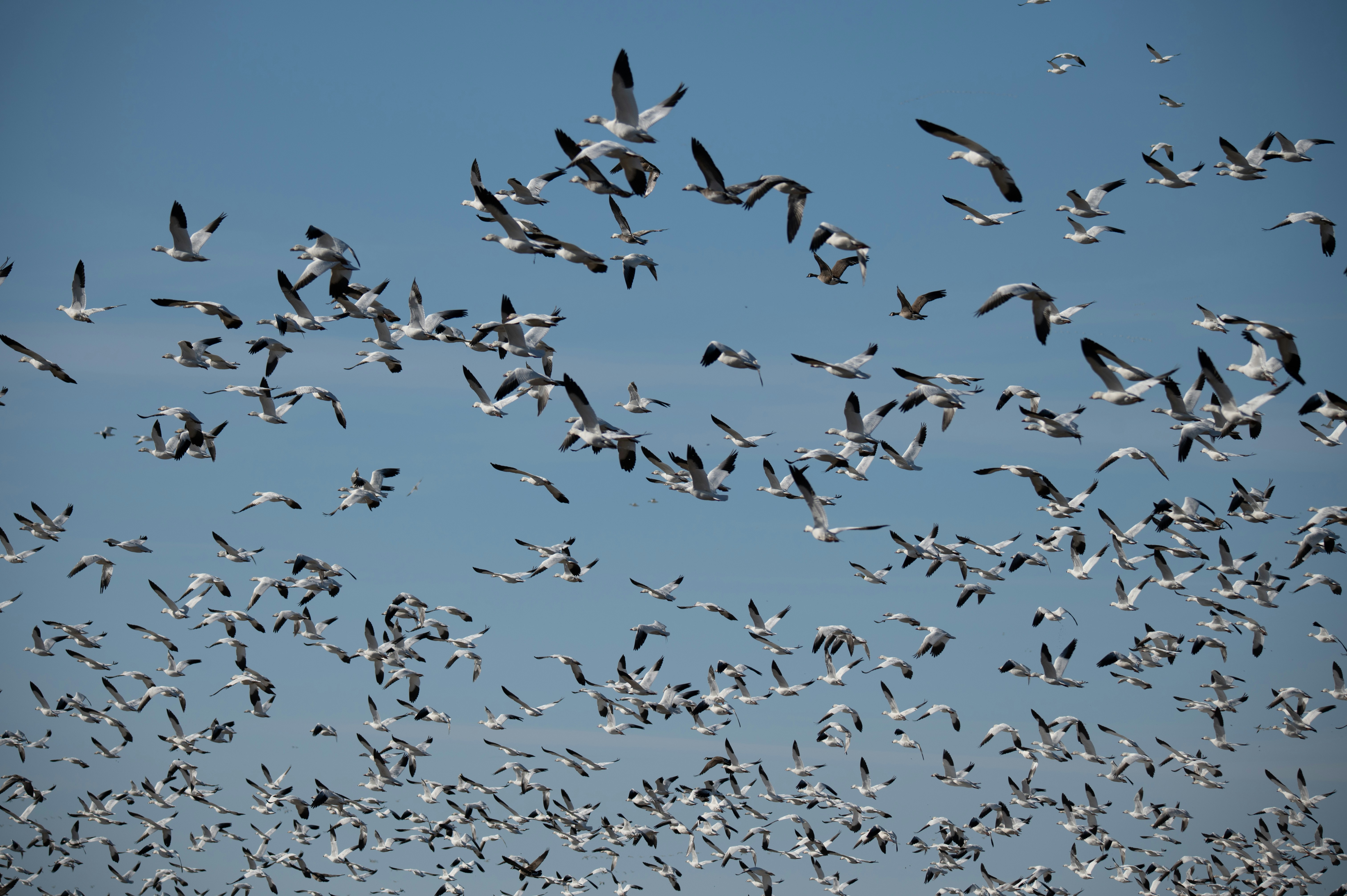 Photo by add_rien_20