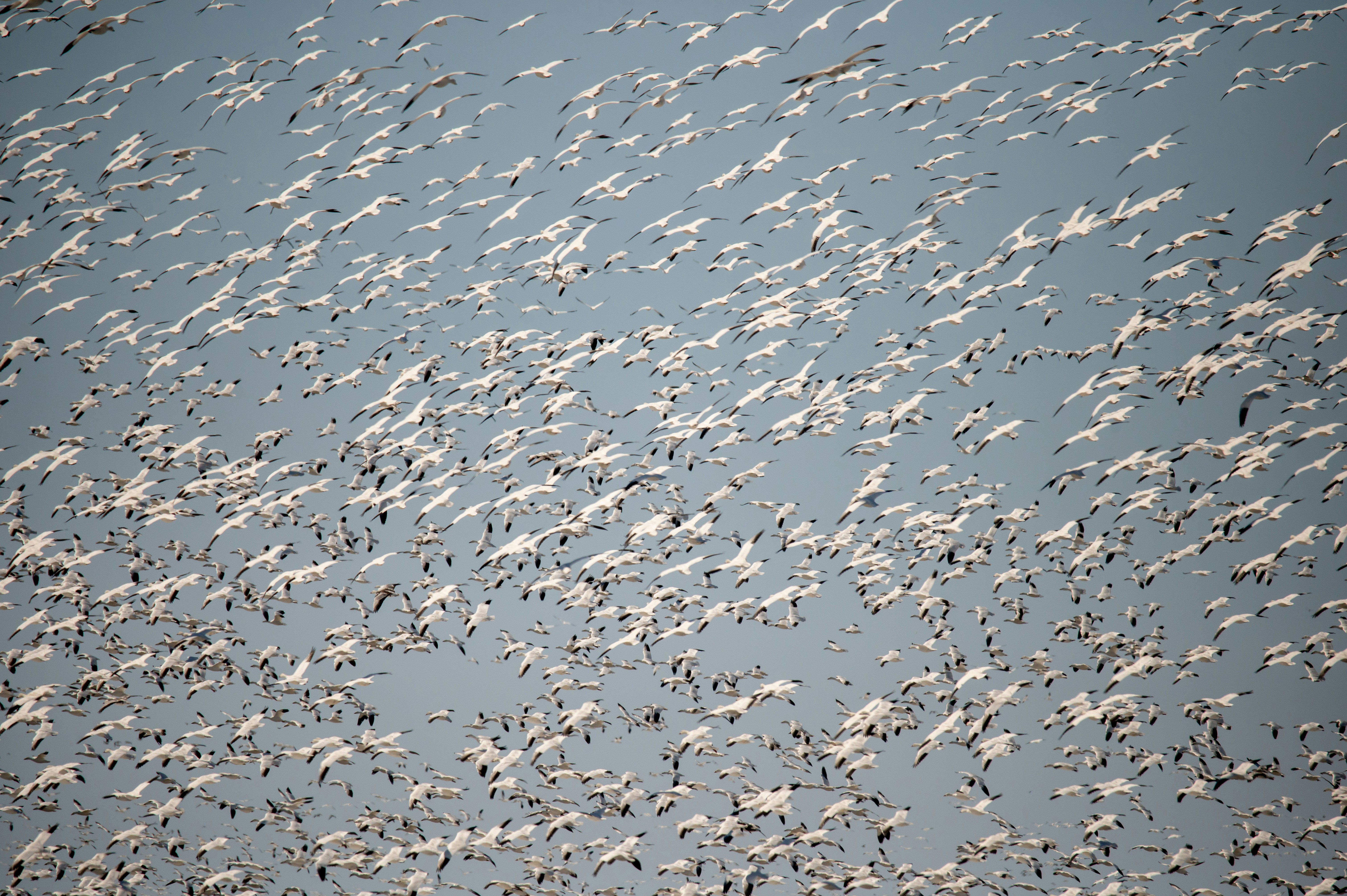 Photo by add_rien_20