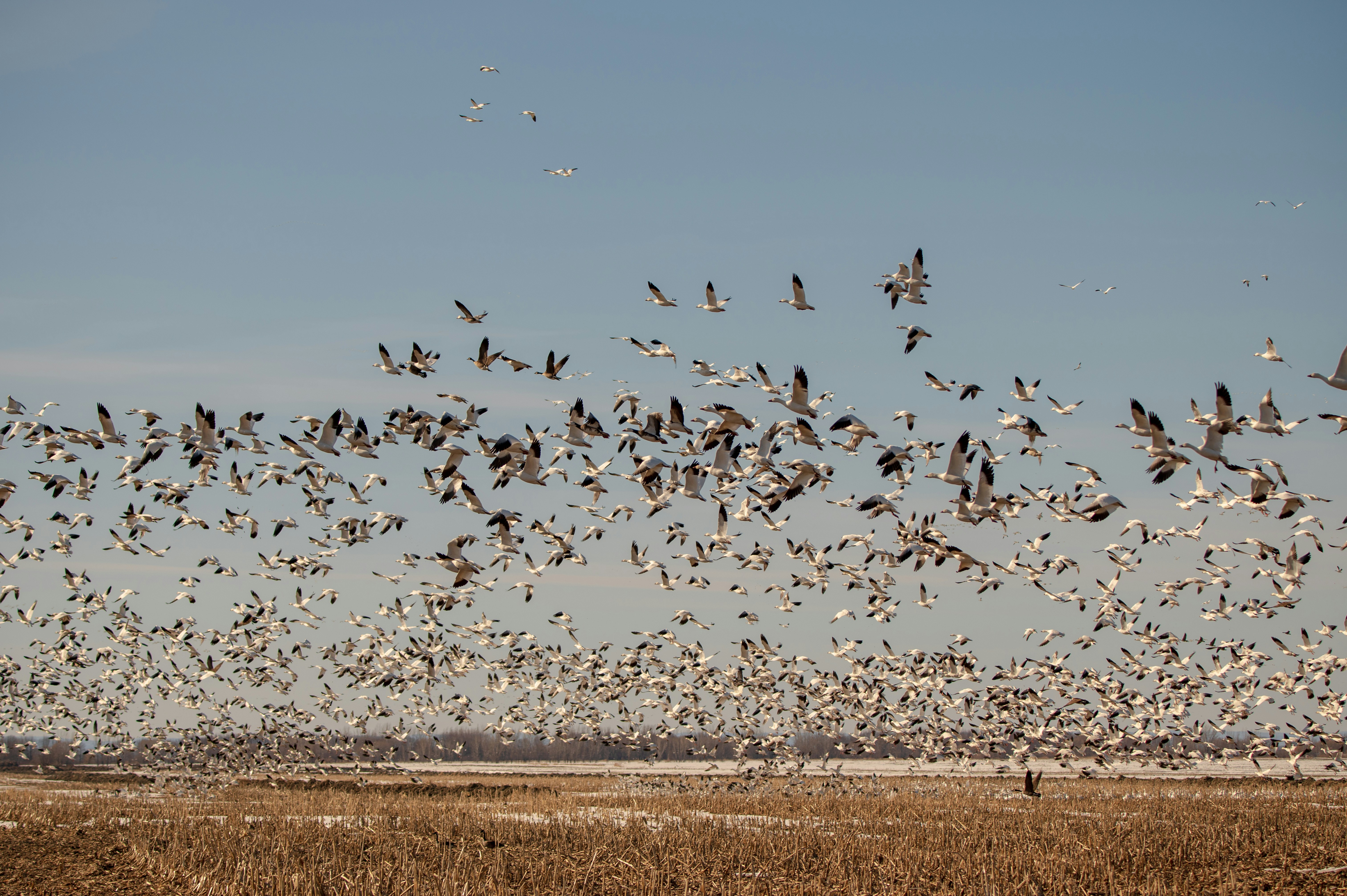 Photo by add_rien_20