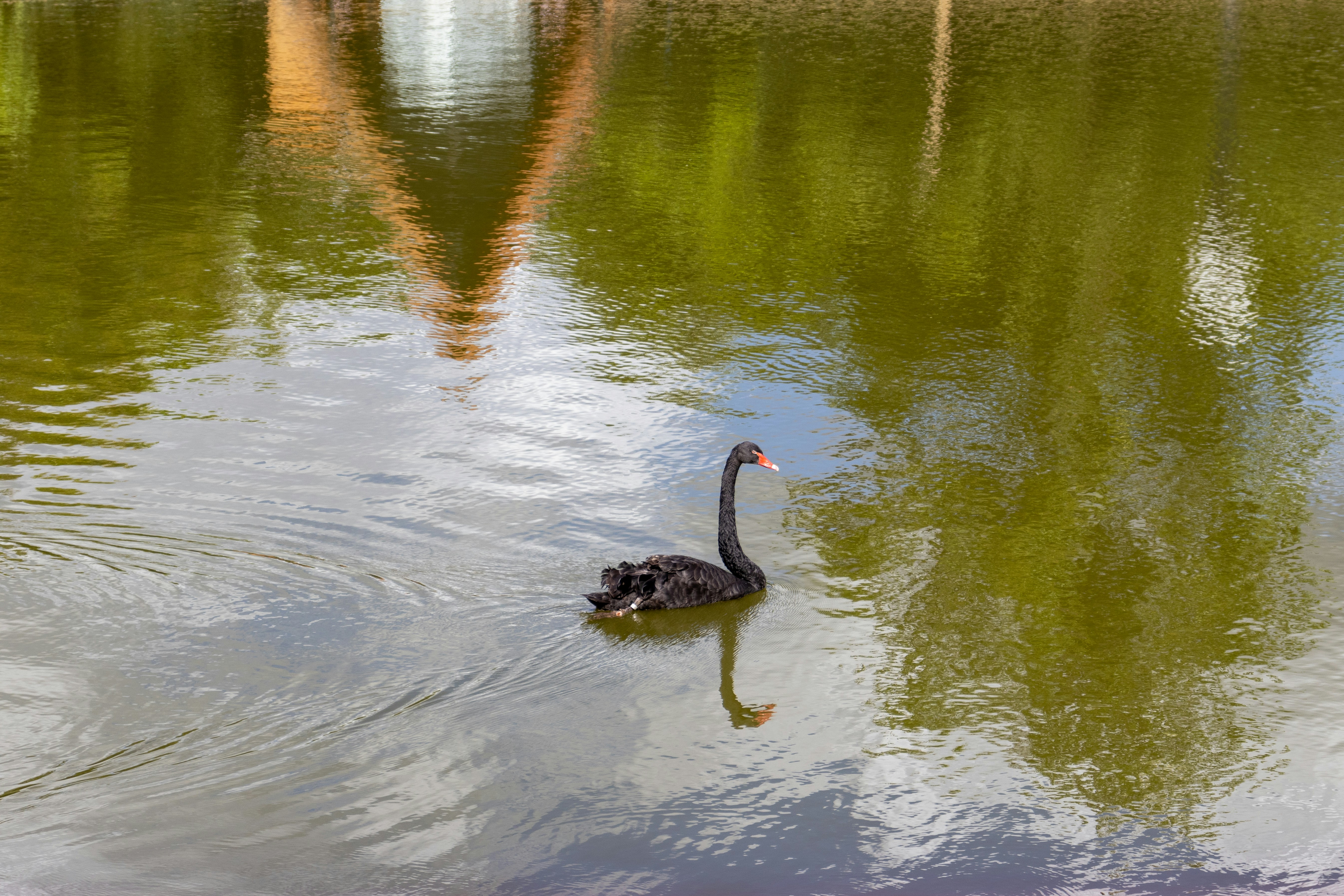 Photo by gsvaldevieso
