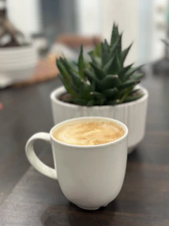 A bright turquoise mug with a chunky handle resting on a wooden table beside a small succulent plant.
