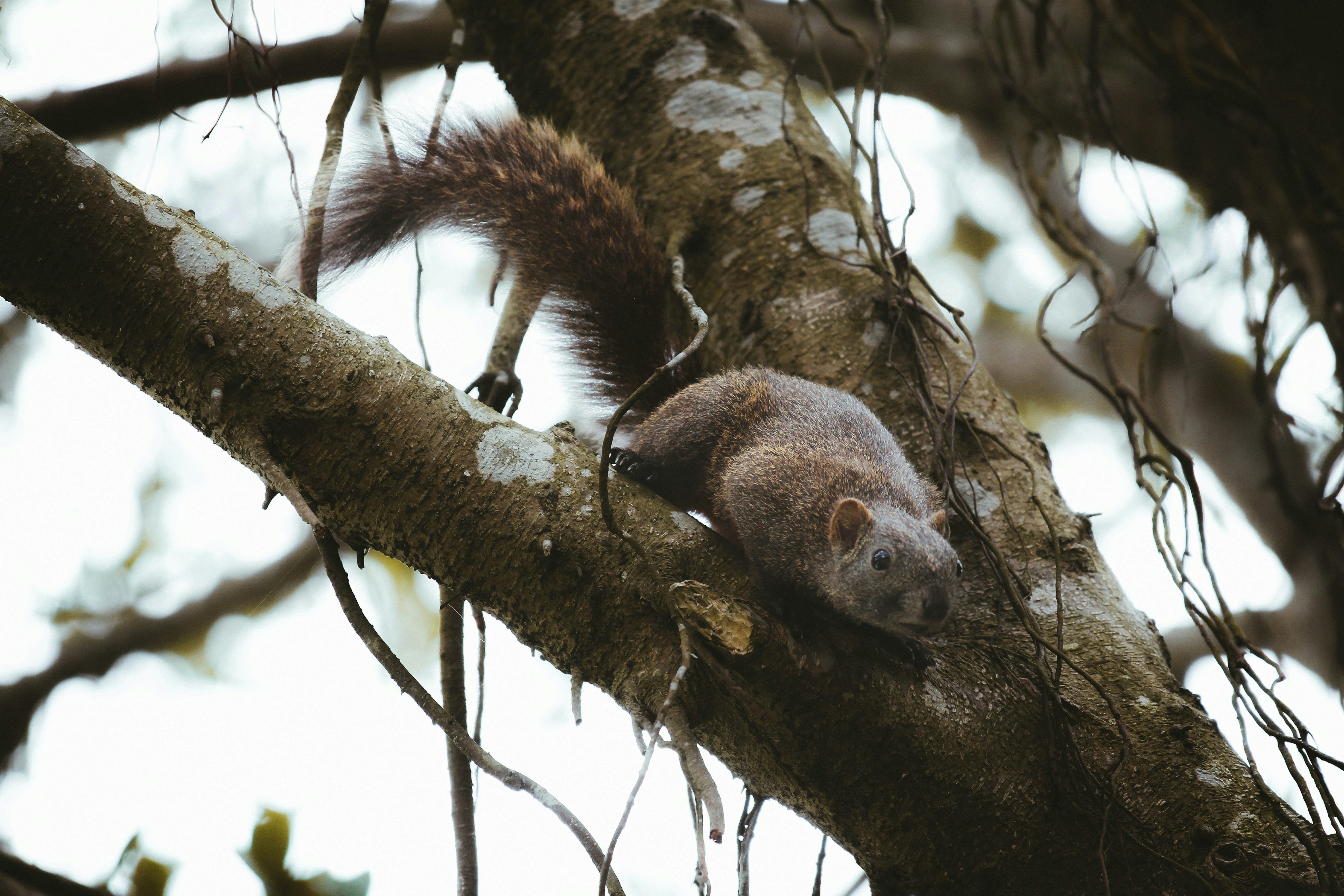 Photo by litemessmor