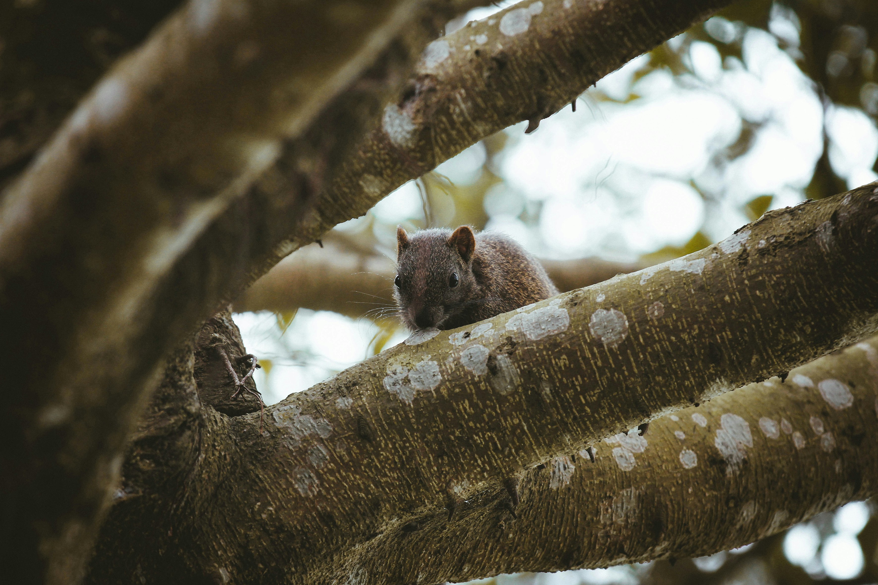 Photo by litemessmor