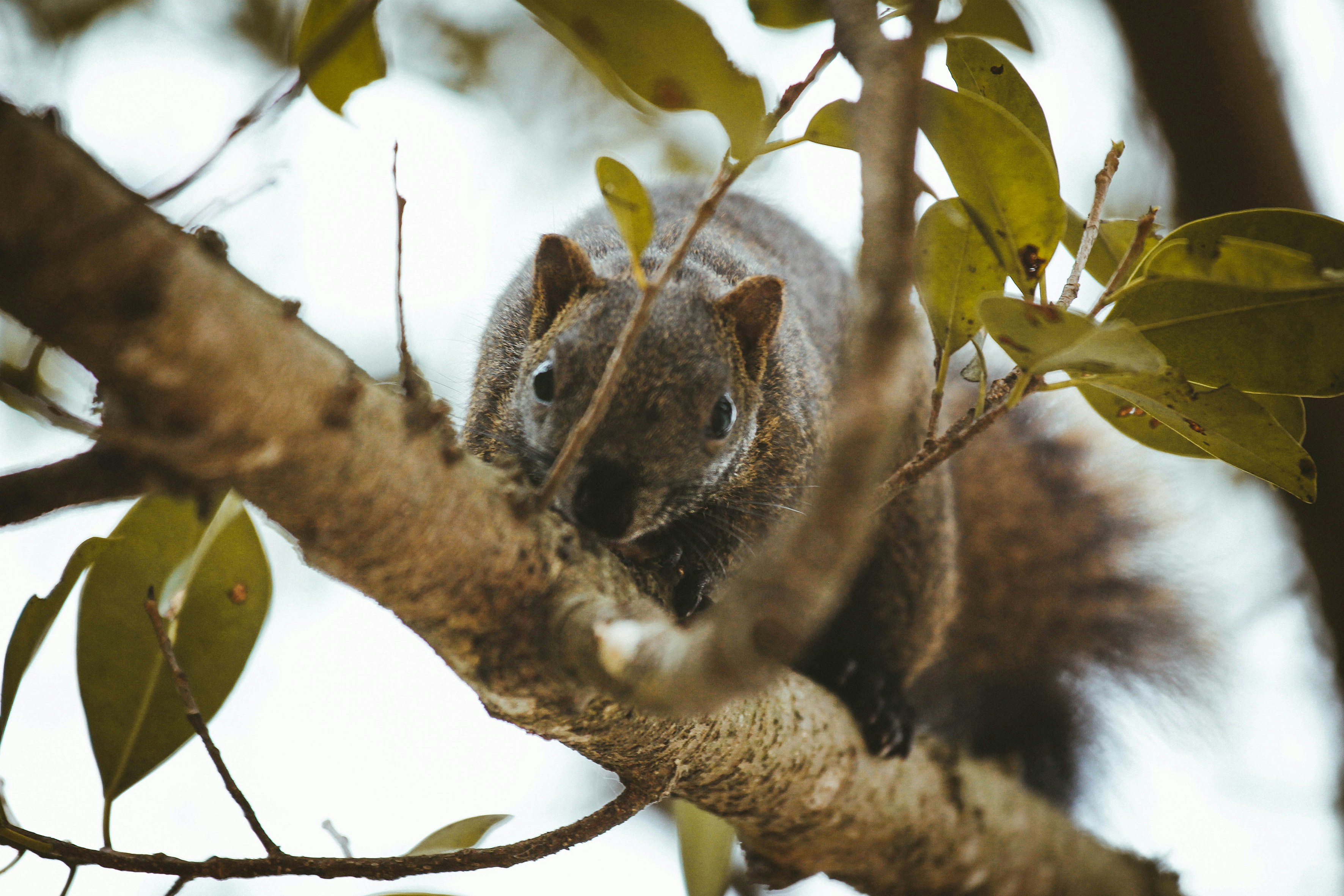 Photo by litemessmor