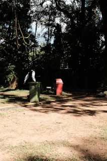 A clean residential trash bin sitting neatly by a suburban driveway in bright daylight.