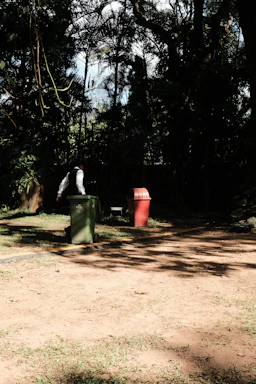A clean residential trash bin sitting neatly by a suburban driveway in bright daylight.