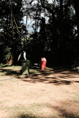 A recycling bin filled with compostable waste in a sunny outdoor setting.