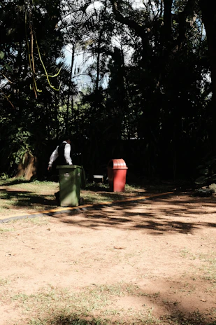 A Binshufflers team member carefully placing a garbage bin at the curb on a sunny morning.