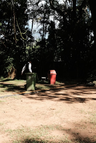 A friendly driver collecting trash bins on a sunny rural road lined with green fields.