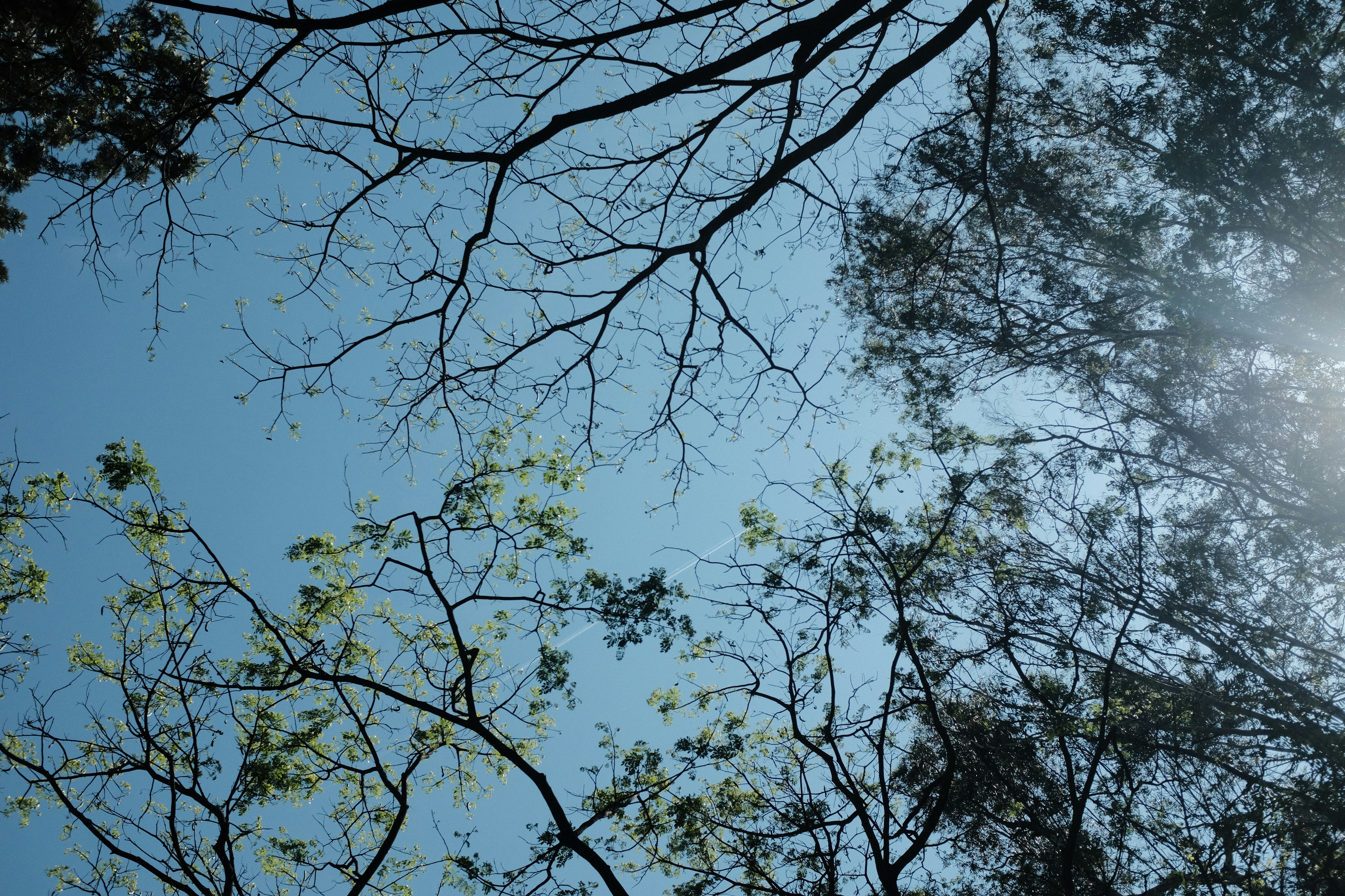 Photo by danishprakash