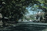 A tree-lined street with several cars and an auto-rickshaw driving along the road. The scene is shaded by the large, overhanging branches of leafy trees. Buildings are visible in the background, and a speed limit sign reads 40 km/h.