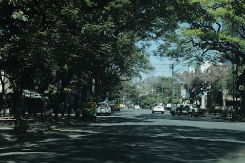 A tree-lined street with several cars and an auto-rickshaw driving along the road. The scene is shaded by the large, overhanging branches of leafy trees. Buildings are visible in the background, and a speed limit sign reads 40 km/h.