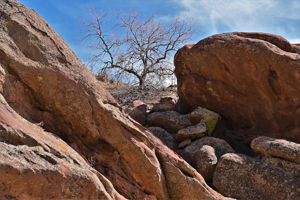 a rock formation with a tree in the background