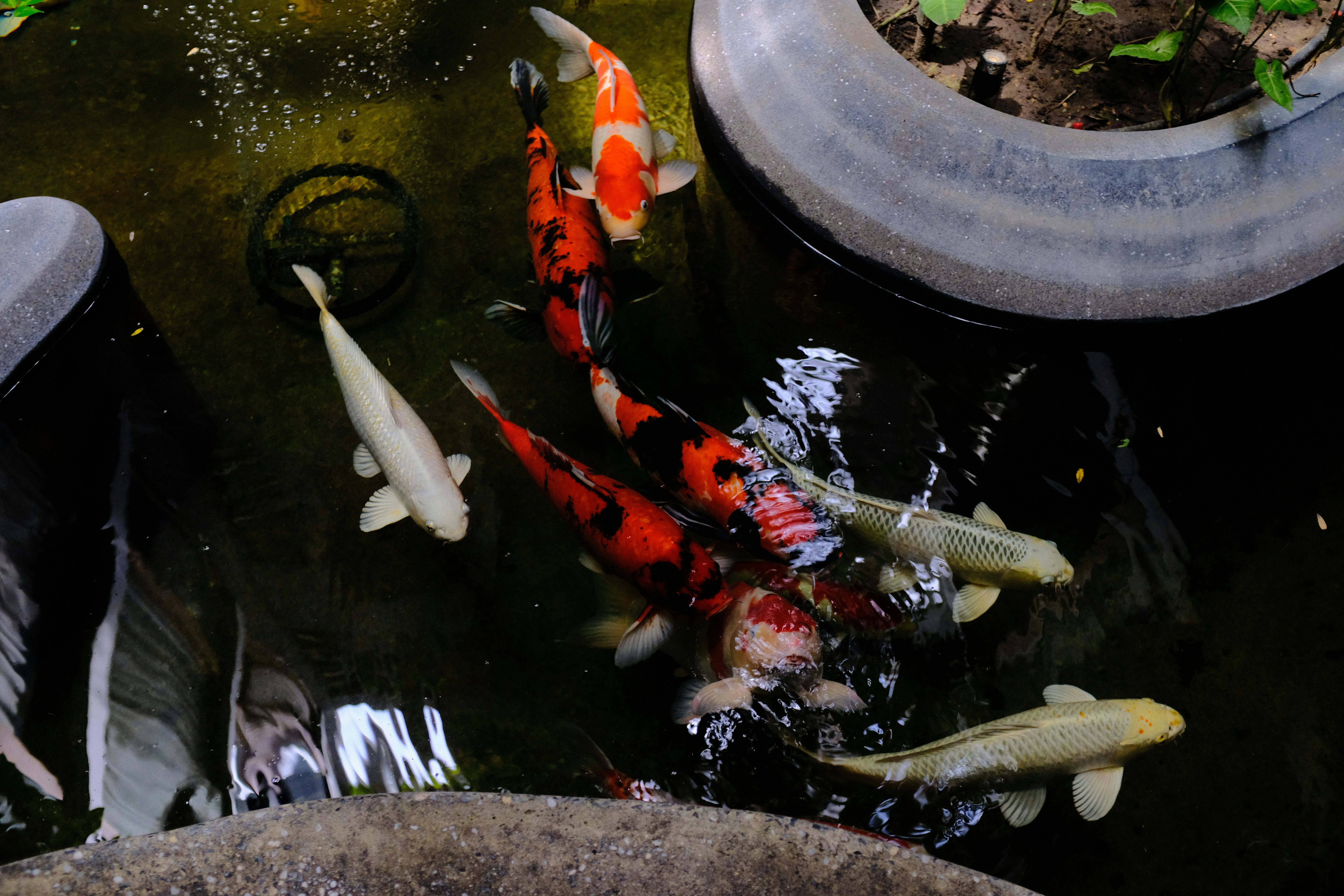 Photo by danishprakash