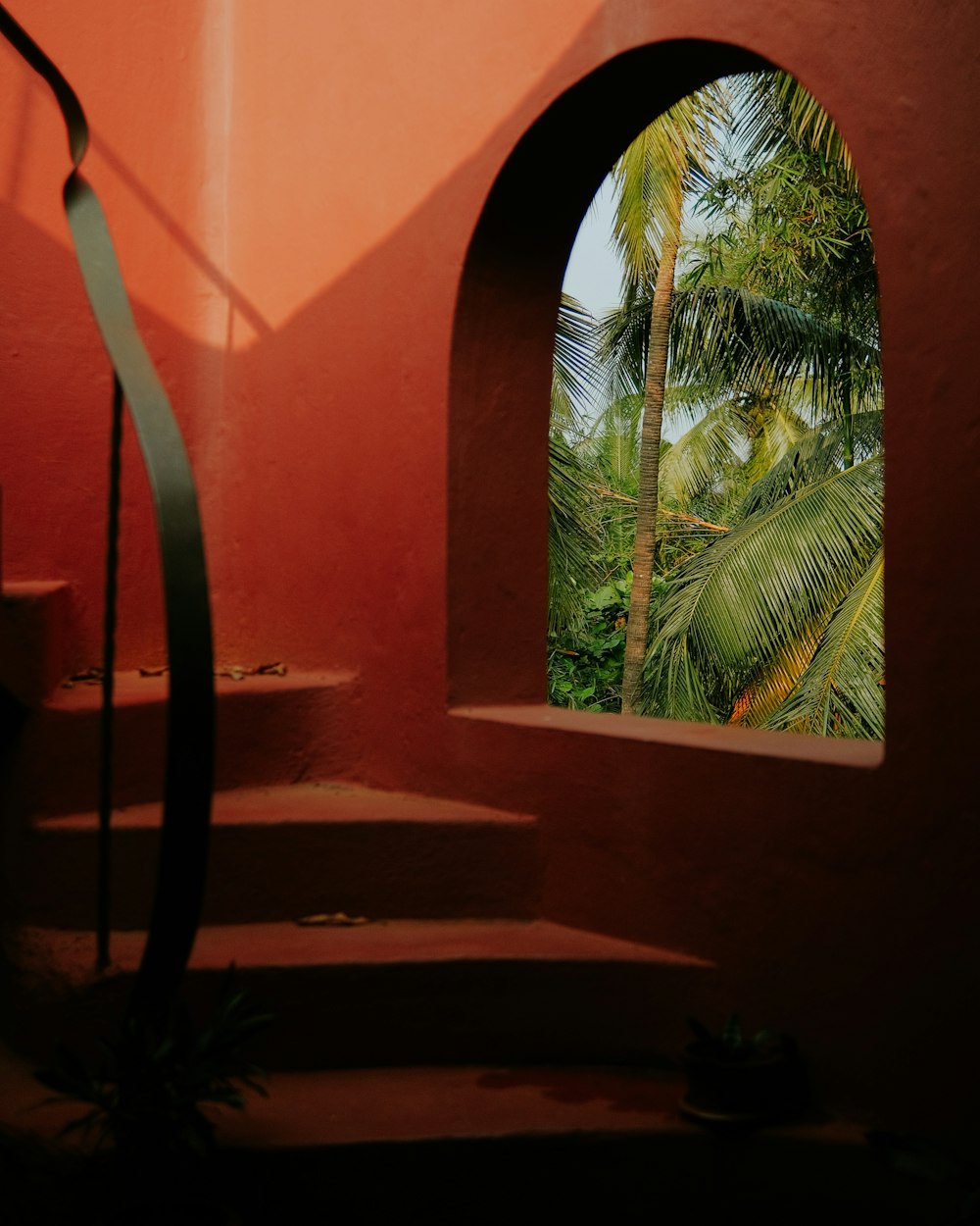 a view of a palm tree through a window