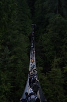 Adventure seekers crossing a wooden suspension bridge surrounded by dense forest.
