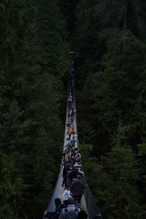 Adventure seekers crossing a wooden suspension bridge surrounded by dense forest.