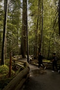 A dense forest path is surrounded by tall trees with lush green foliage. The path is paved and bordered by rustic wooden railings. Two people are walking along the trail, with shadows and dappled sunlight creating a serene atmosphere.