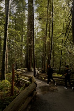 A dense forest path is surrounded by tall trees with lush green foliage. The path is paved and bordered by rustic wooden railings. Two people are walking along the trail, with shadows and dappled sunlight creating a serene atmosphere.