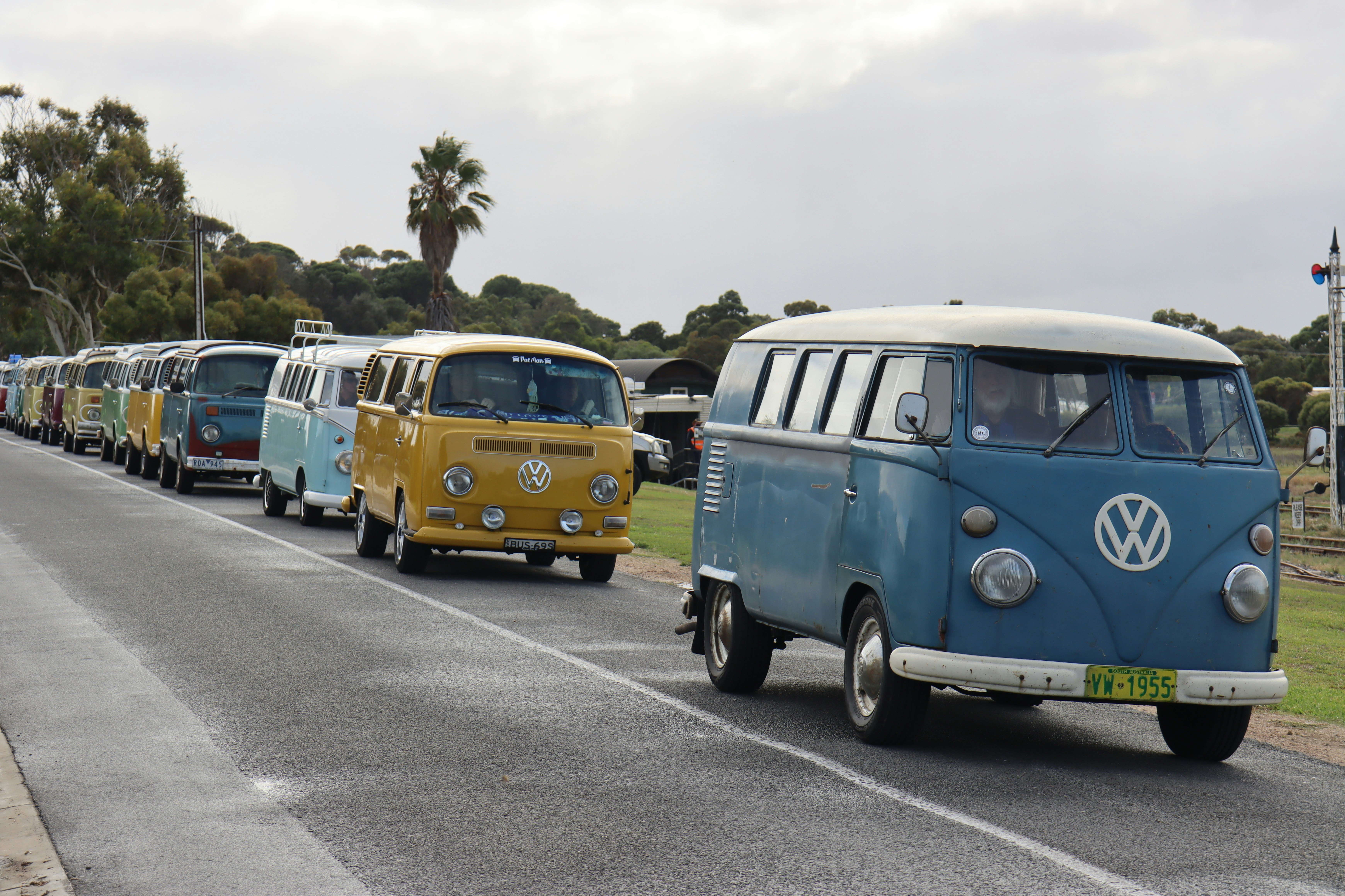 a row of vw buses driving down a street