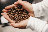 Close-up of hands gently holding freshly roasted coffee beans with morning light.