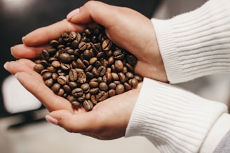 A pair of hands gently cradles a handful of roasted coffee beans. The person is wearing a white long-sleeved sweater, and the focus is on the rich, brown tones of the coffee beans.
