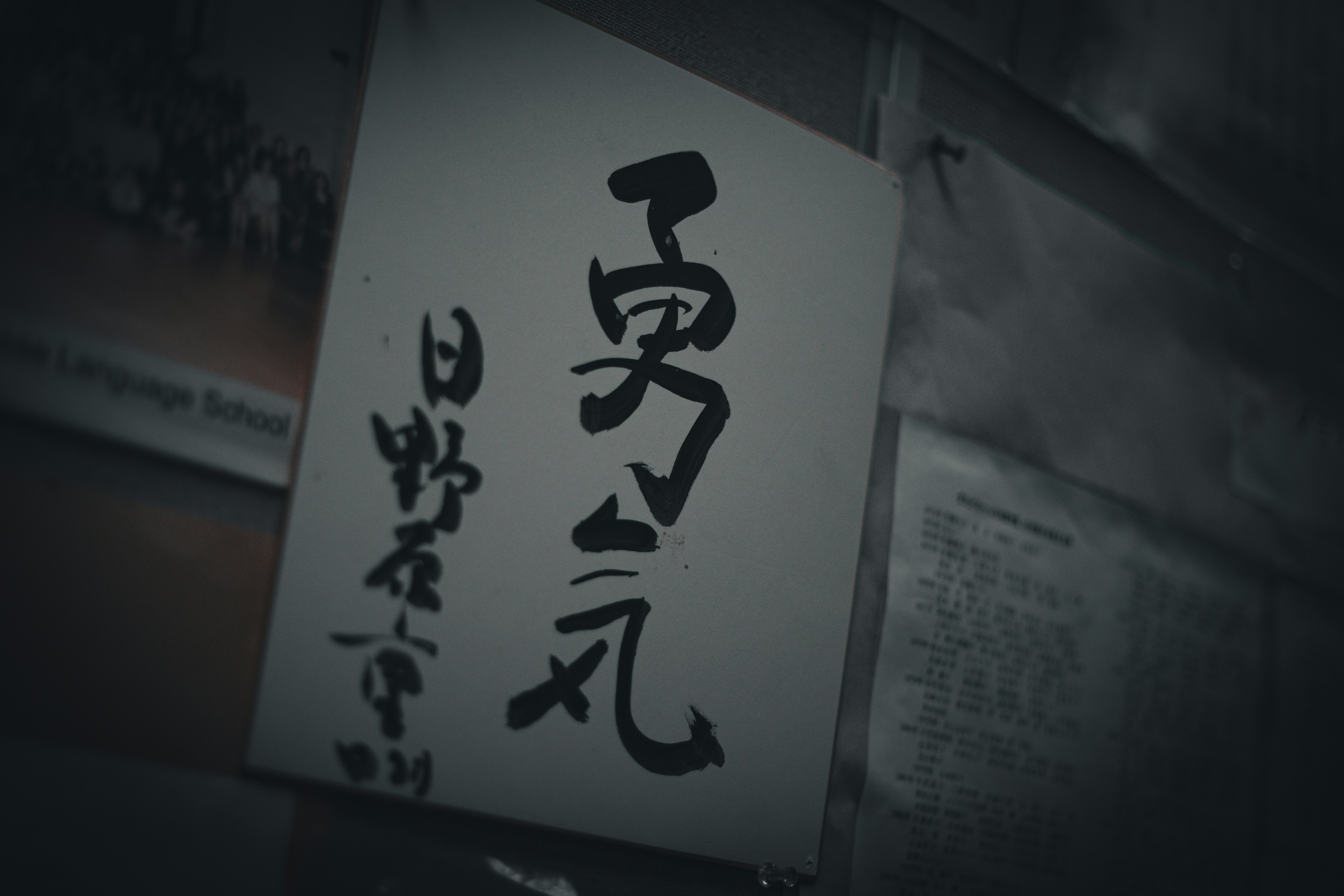 Flourishing calligraphy composition on dark paper, ornate sweeping loops, moody dark studio atmosphere