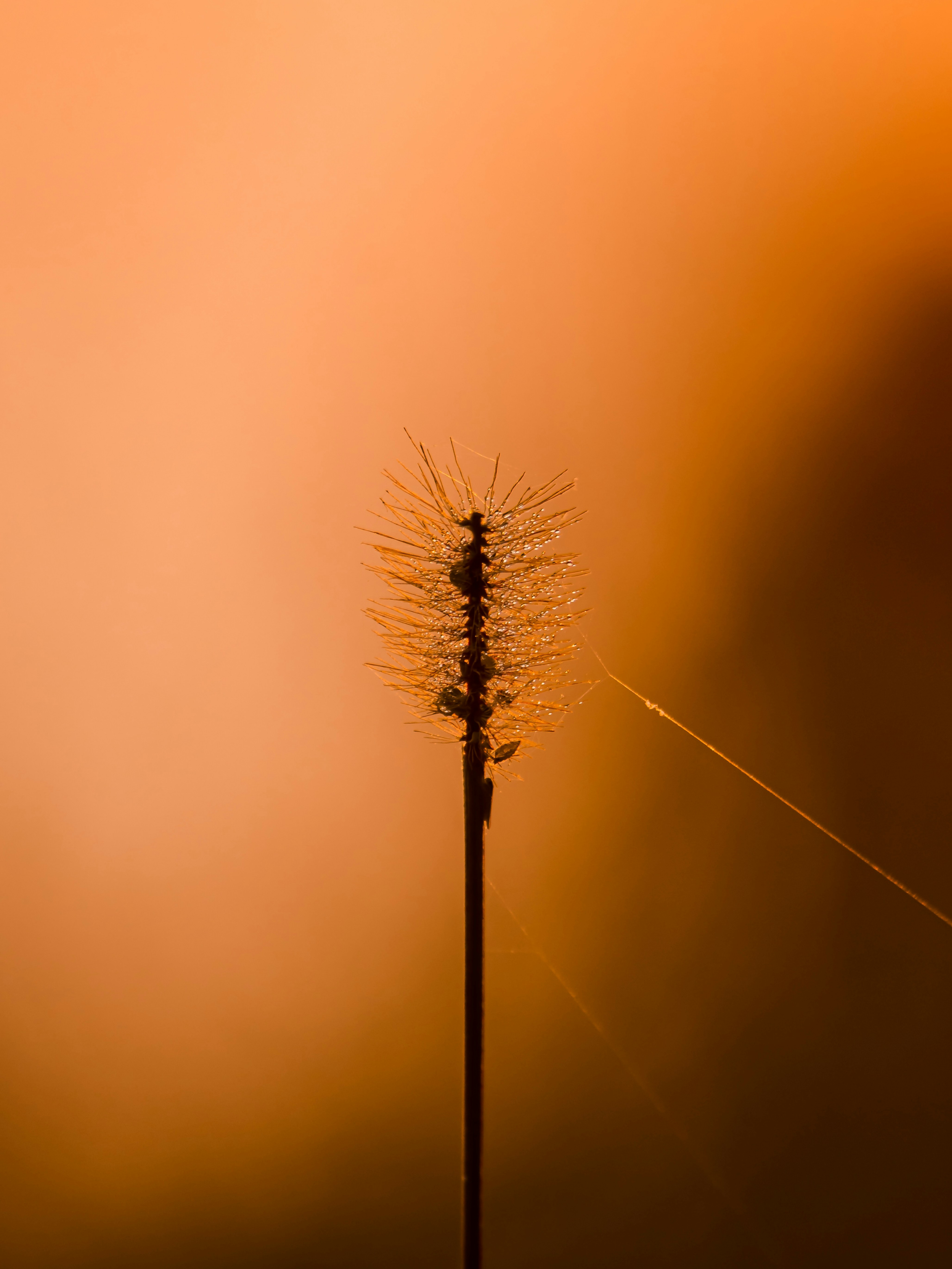 Photo by harshit_suryawanshi