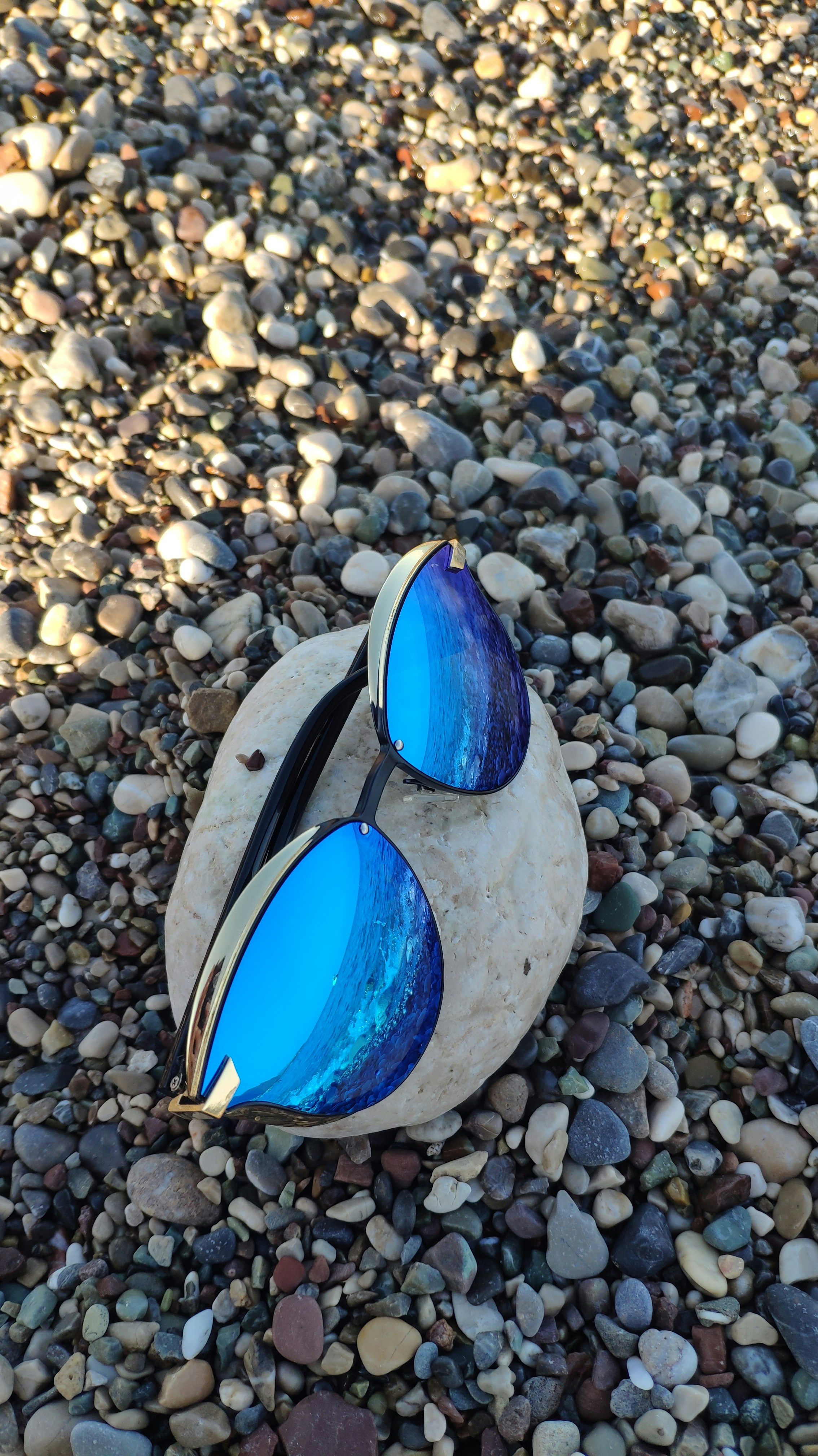 Wild Horizon Sunglasses