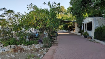 A peaceful outdoor area with a pathway bordered by greenery. On the left, there are trees and shrubs along with potted plants. On the right, a series of white structures with open entries suggest a casual dining or resting area. The ground is paved with stones leading towards the buildings shaded by tarps.