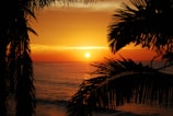 A vibrant sunset over a tropical beach.