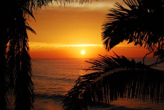 A vibrant sunset over a tropical beach with palm trees.