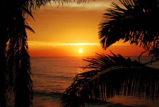 A vibrant sunset over a tropical beach with a traveler looking out to the horizon.