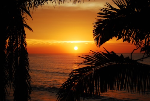 A vibrant sunset over a tropical beach with palm trees.
