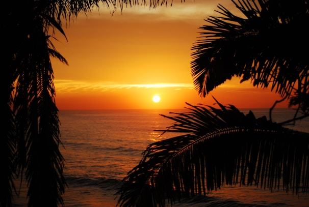 A vibrant sunset over the ocean in Cozumel.