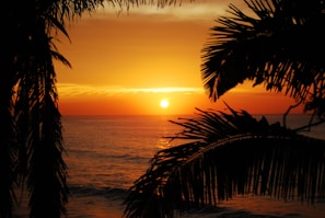 A vibrant sunset over a tropical beach.