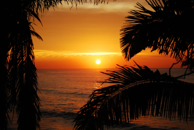 A vibrant sunset over a tropical beach with a traveler looking out to the horizon.