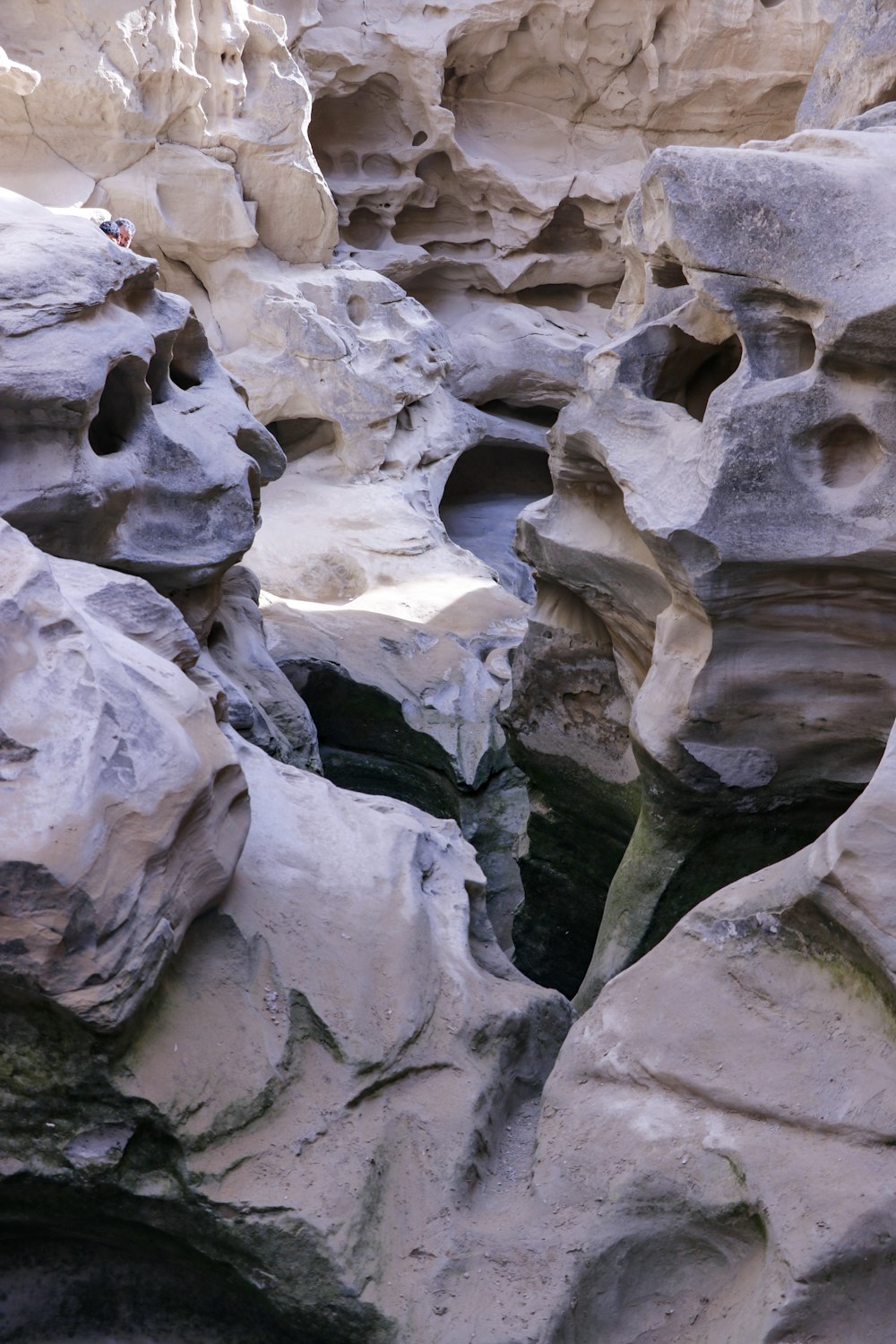 a man standing on a rock formation in a canyon