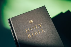 A close-up view of a hardcover book with the title 'Holy Bible' embossed in gold lettering on a textured black cover. The book is angled slightly with a soft green background.