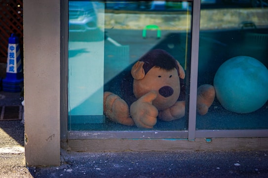 A plush toy resembling an animal is placed behind a glass window. Next to the plush toy, there is a large blue ball. The scene outside the window includes a concrete surface with a traffic cone displaying non-English characters.