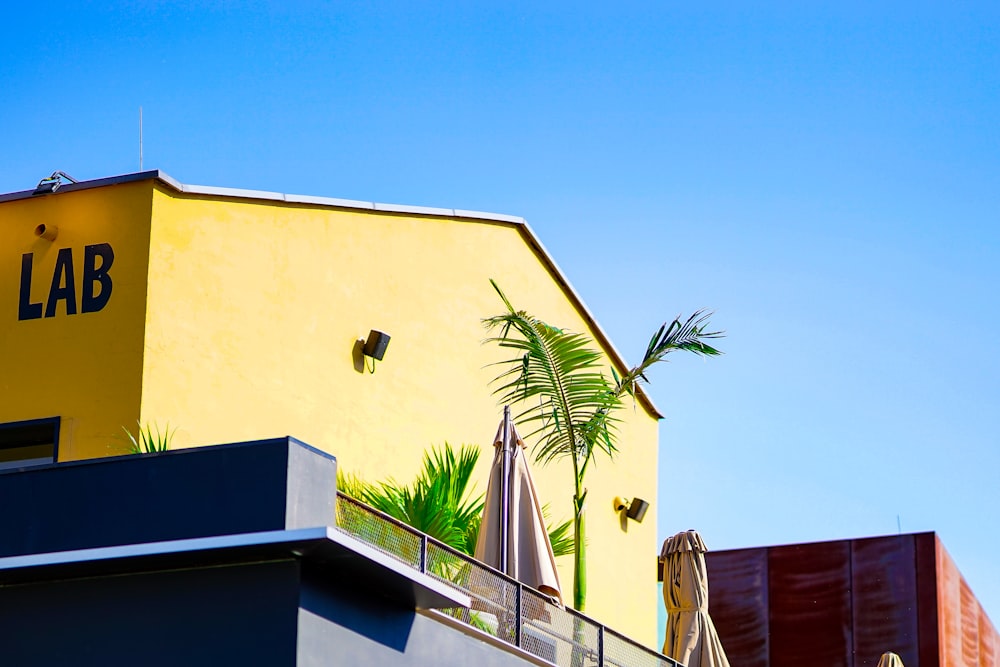 a yellow building with a palm tree in front of it