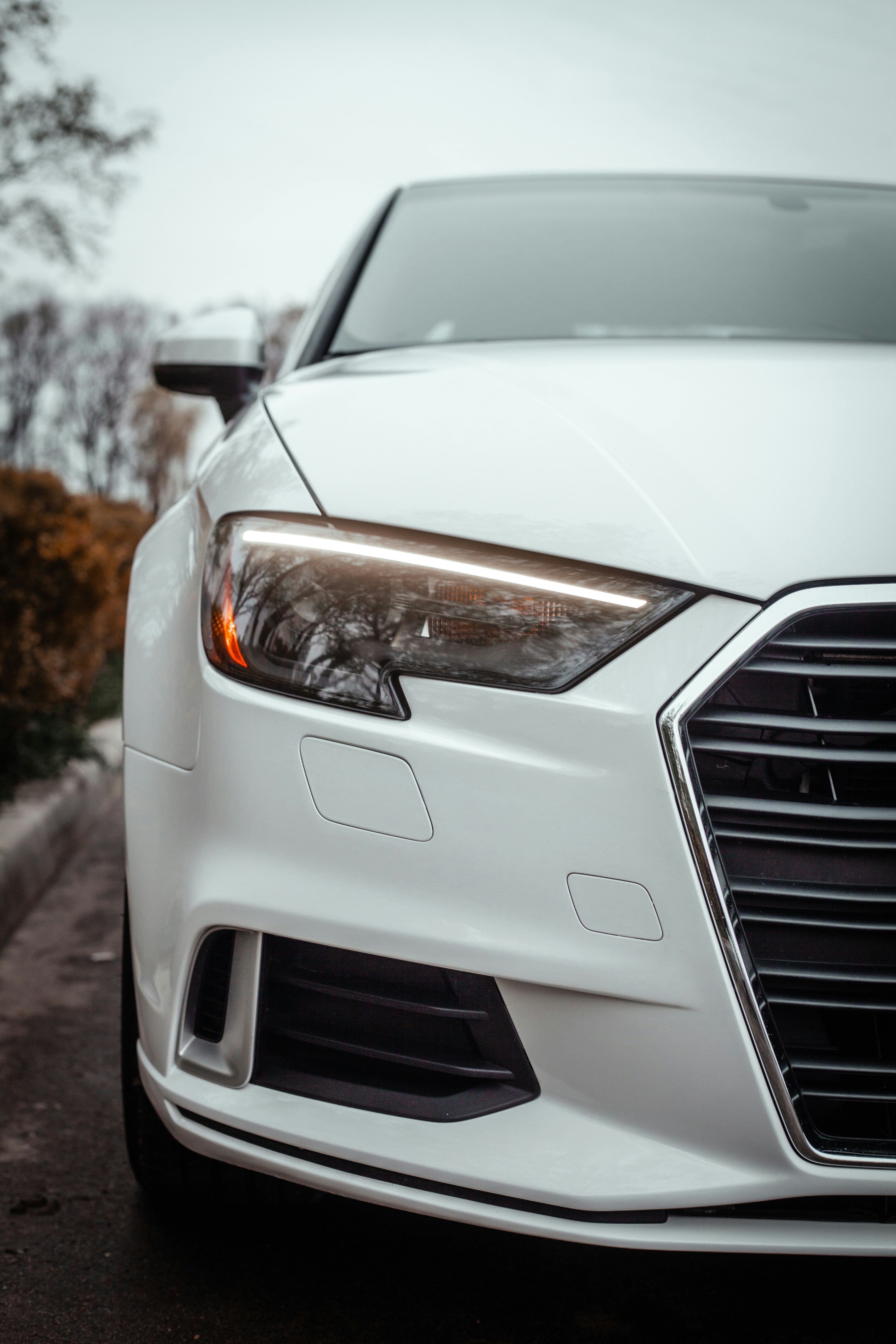 Photo by alexandr_bendus