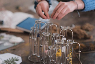 Softly lit close-up of a researcher’s hands carefully handling delicate glassware filled with vibrant botanical extracts.
