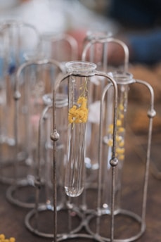 A serene pastel-toned laboratory scene with natural elements like leaves and light reflecting softly on scientific instruments.