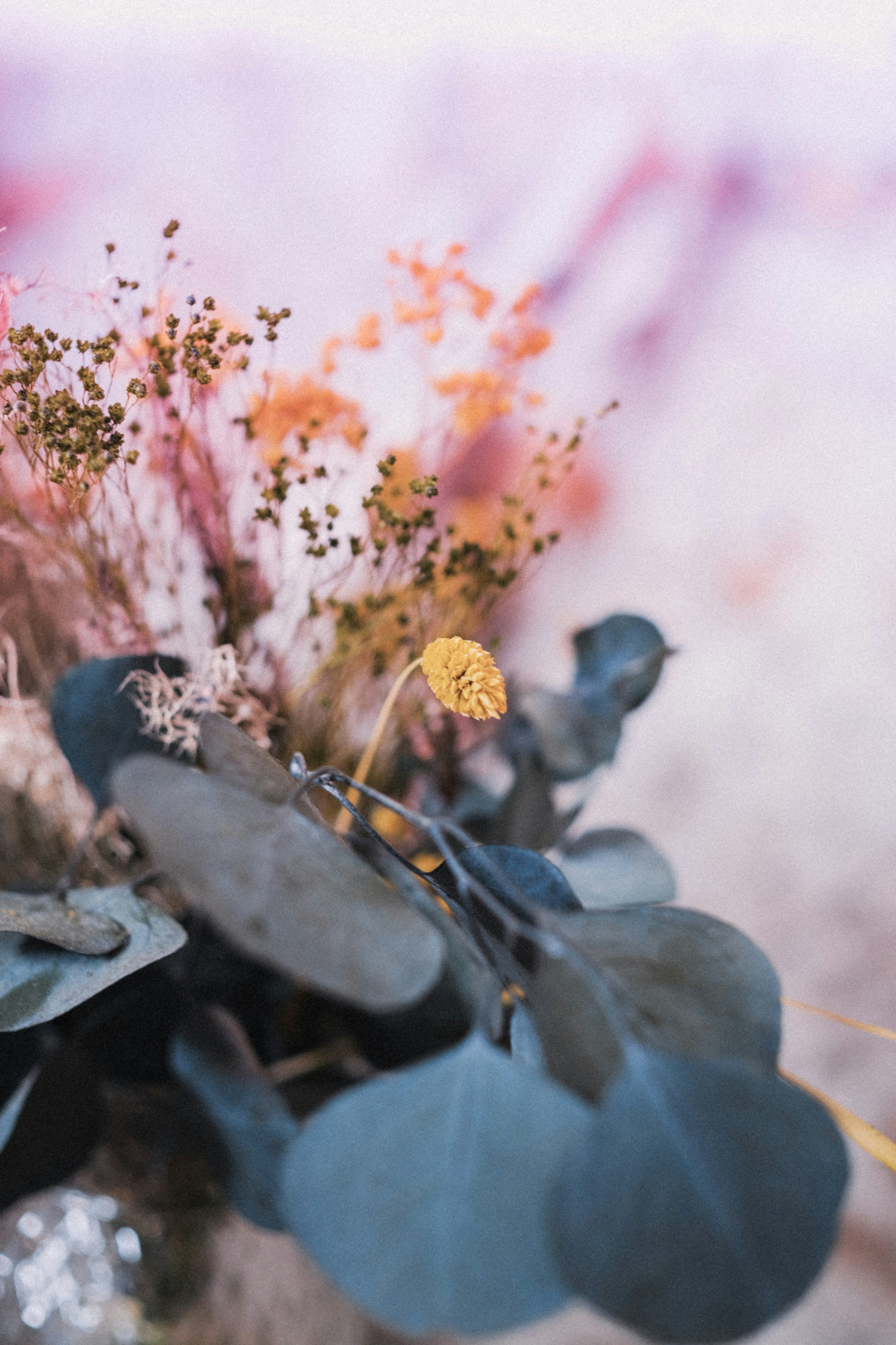 Photo by jungfish