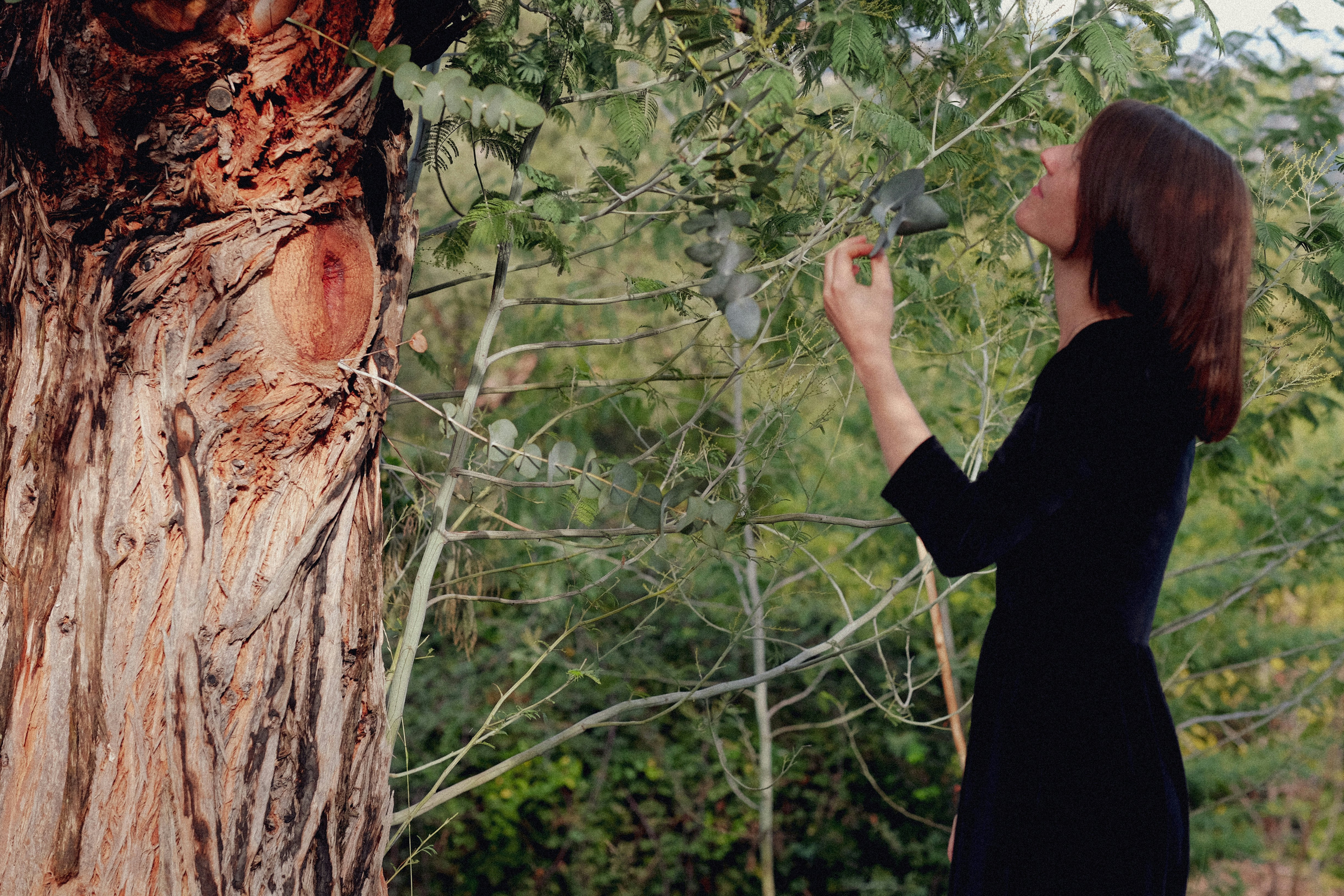 a woman standing next to a large tree
