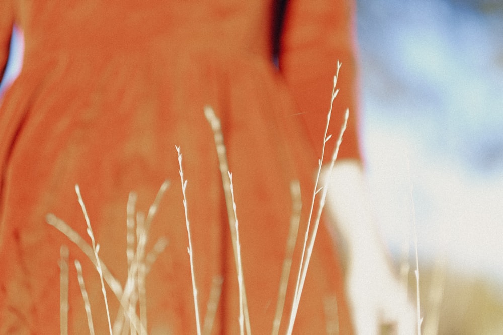 a woman in an orange dress walking through a field