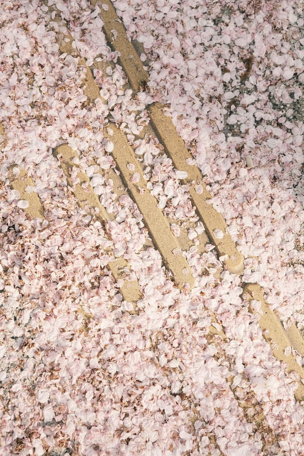 a close up of a street sign covered in pink flowers