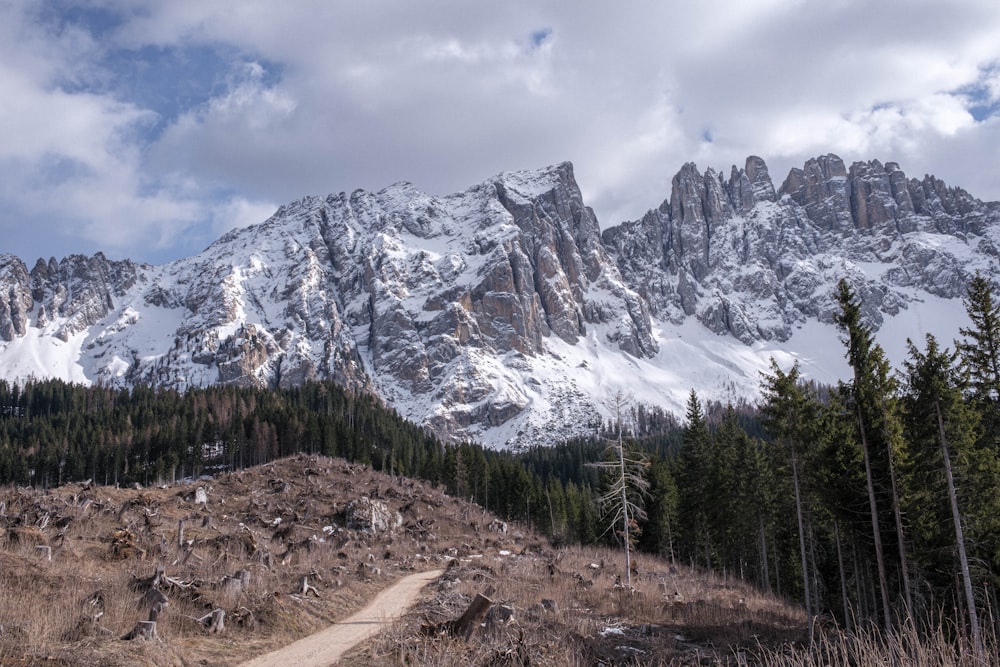 Un camino de tierra frente a una montaña cubierta de nieve